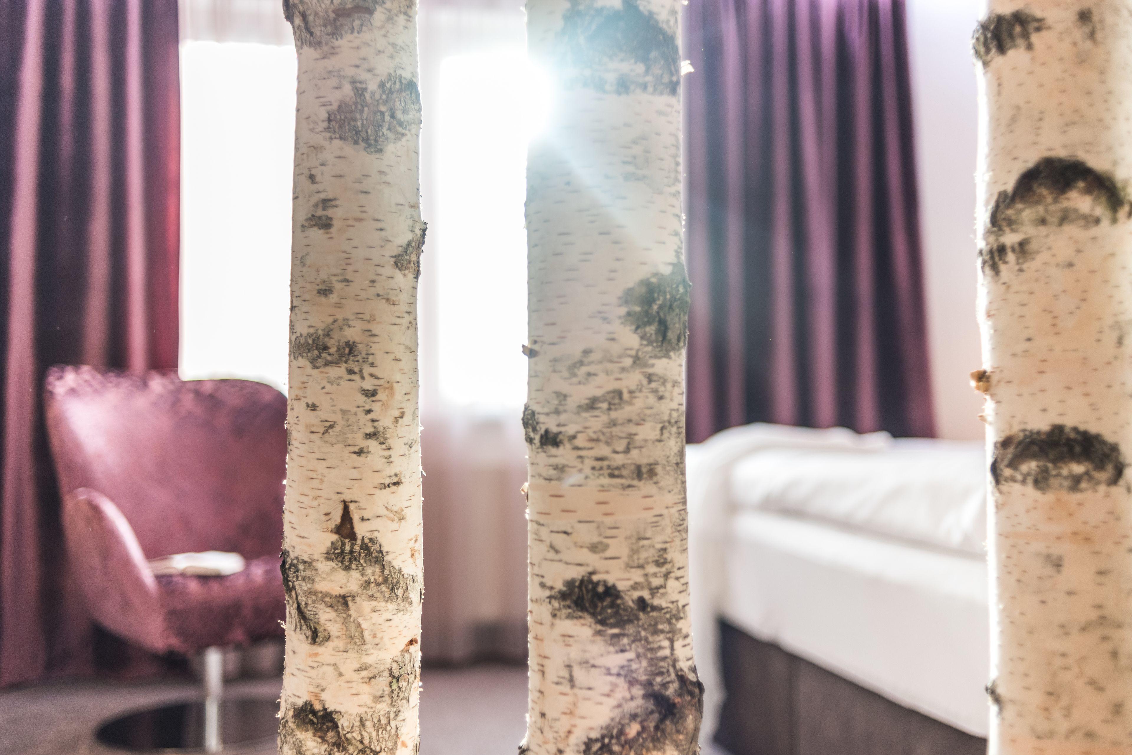 Trihotel - Wellnesshotel Adults Only Rostock